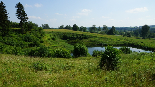 Działka 34.4977ha,m.Bobolice,las,oczko wodne,dr .