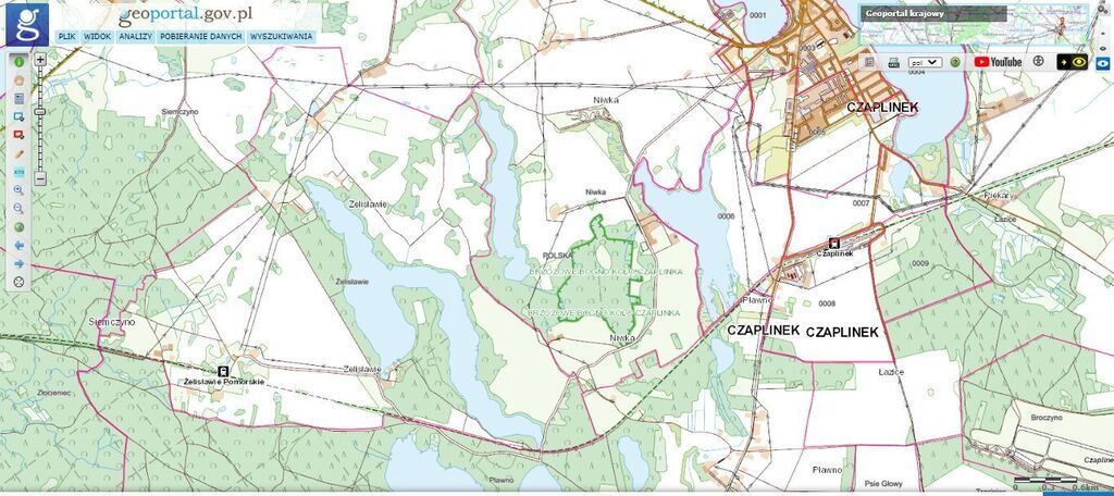 Dz.1.2059ha,Żelisławie,gmCzaplinek,J.Kaleńskie,las