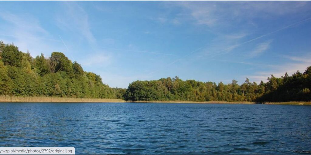 Dz.1.2395ha,Żelisławie,gmCzaplinek,J.Kaleńskie,las