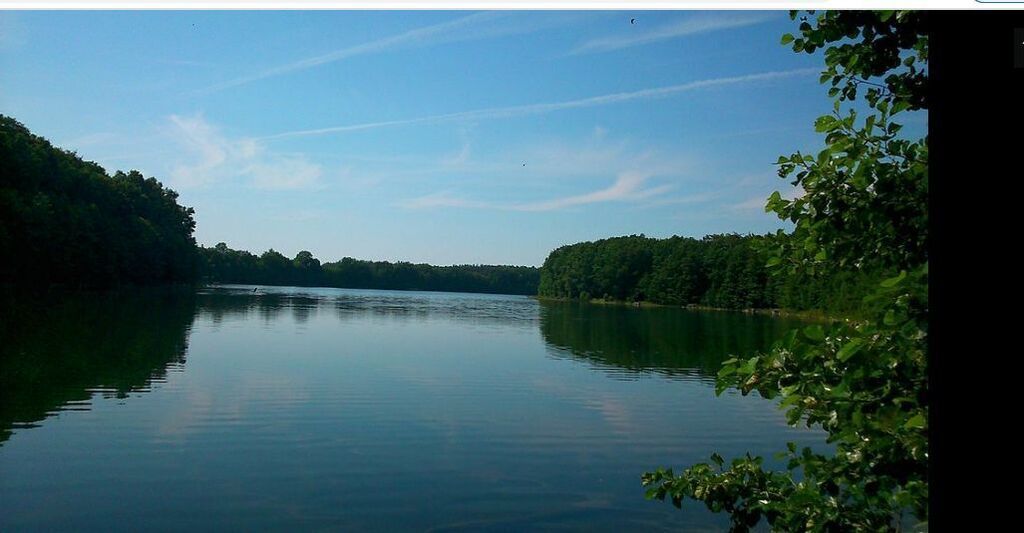 Dz.1.5149ha,Żelisławie,gmCzaplinek,J.Kaleńskie,las