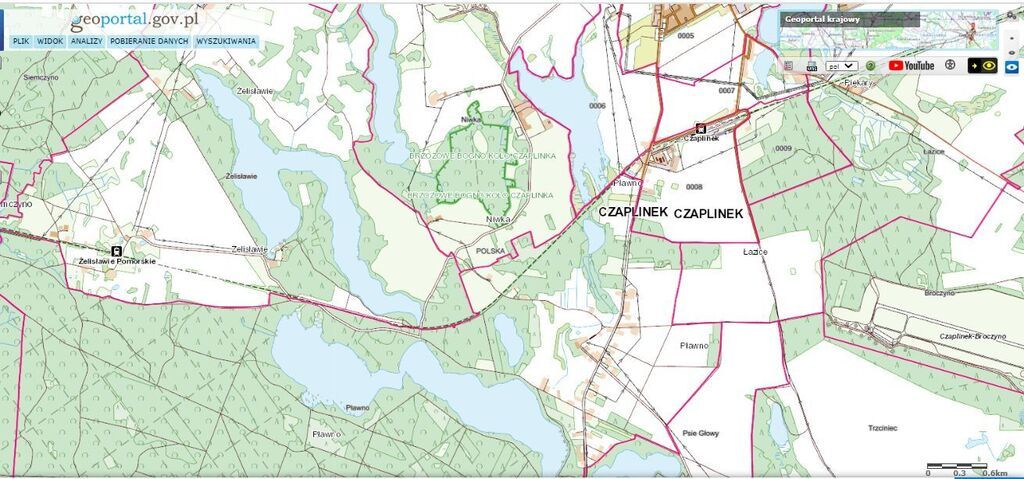 Dz.0.3393ha,Żelisławie,gmCzaplinek,J.Kaleńskie,las
