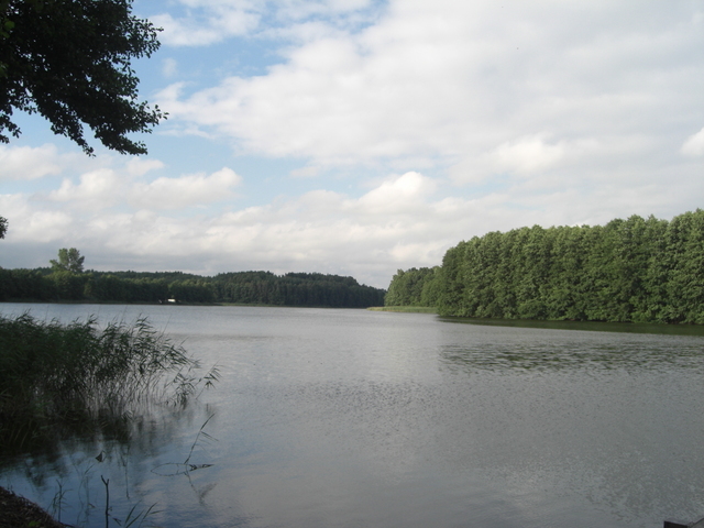 DZIAŁKA SPRZEDAŻ