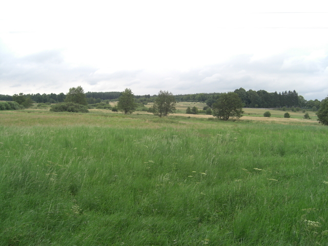 DZIAŁKA SPRZEDAŻ