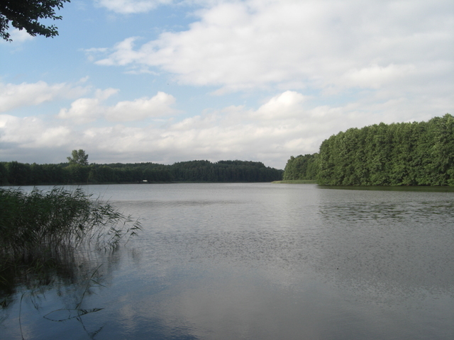 DZIAŁKA SPRZEDAŻ