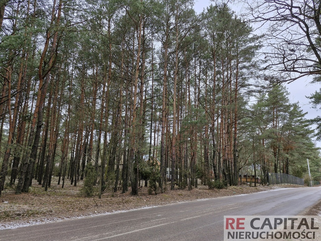 Wyjątkowe działki leśne przy trasie S8