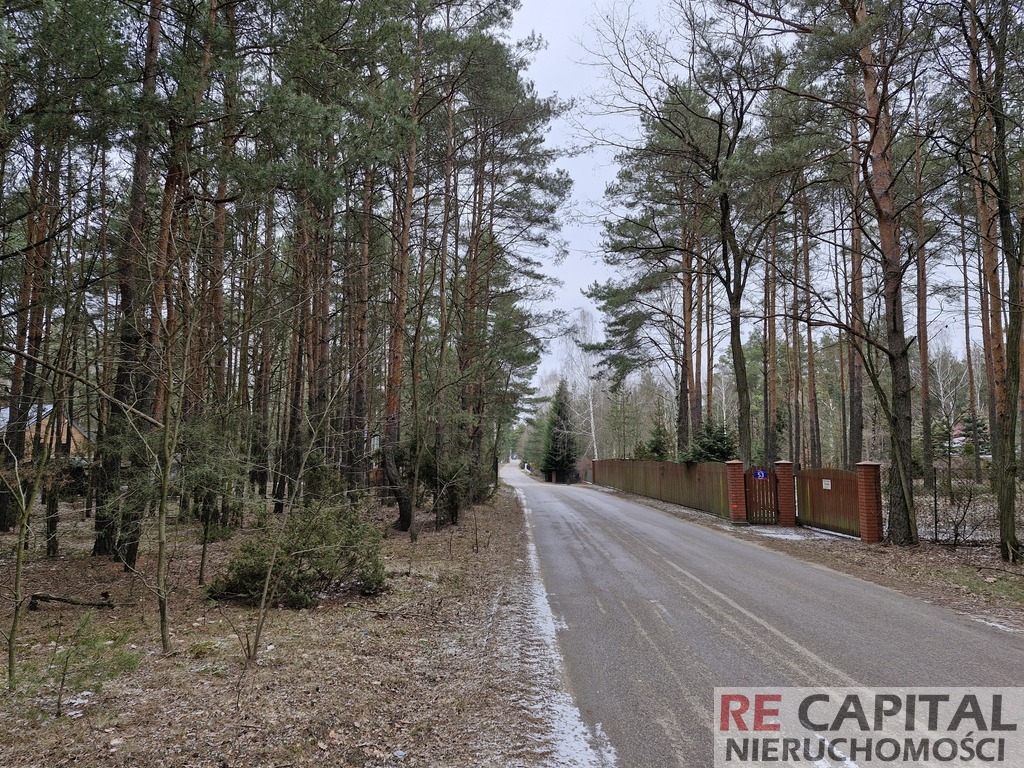 Wyjątkowe działki leśne przy trasie S8