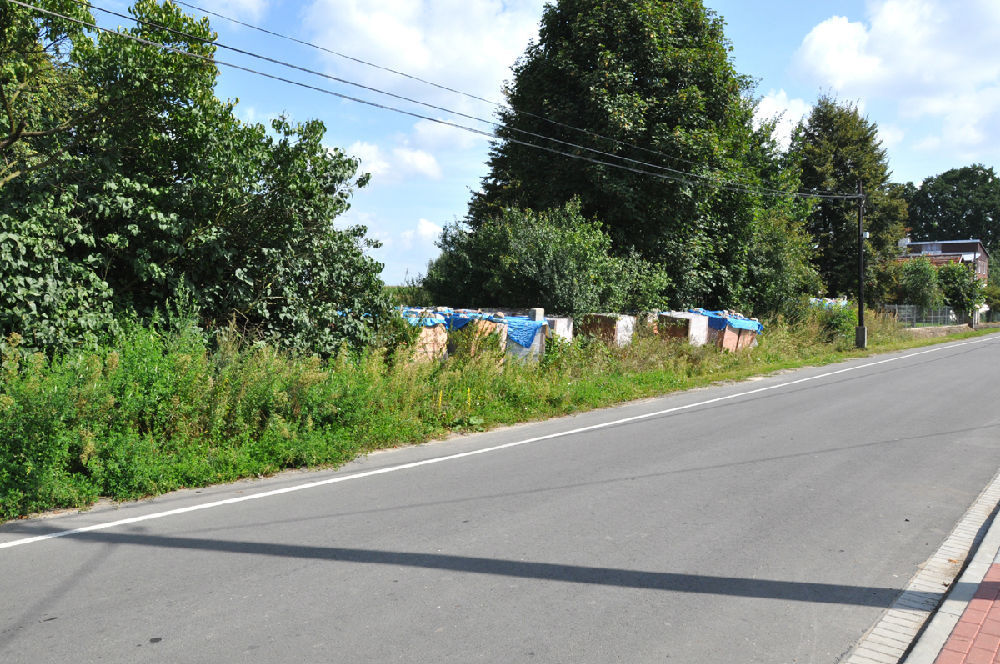 Działka budowlana sprzedaż Bąkowice, gm. Świerczów