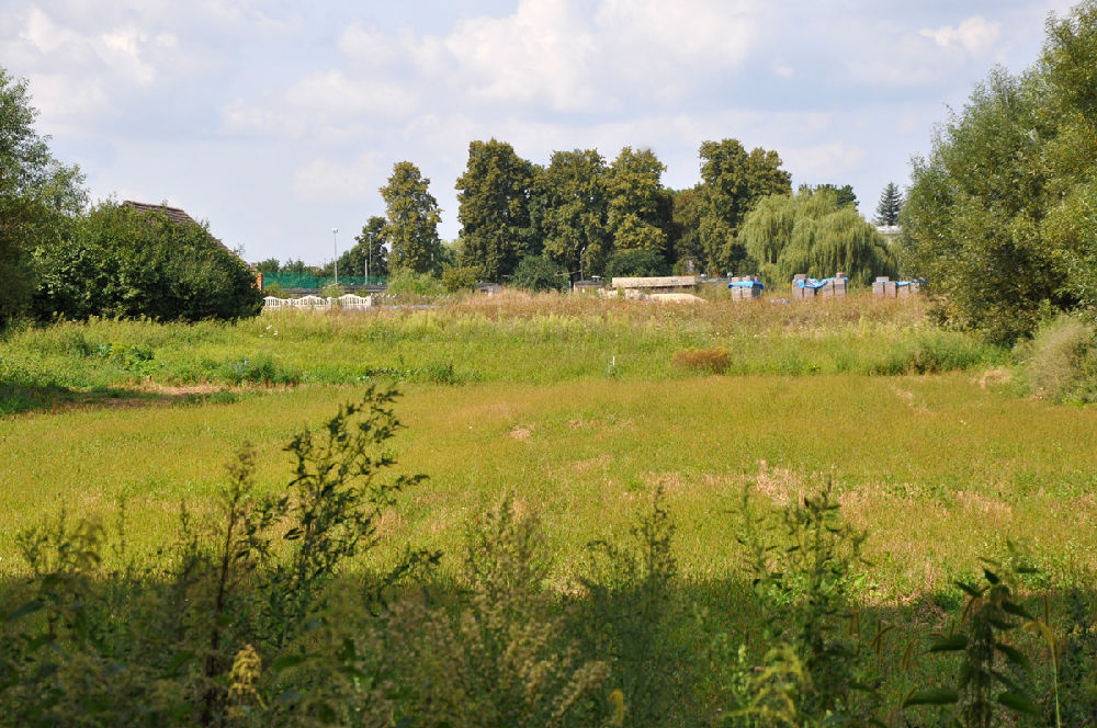 Działka budowlana sprzedaż Bąkowice, gm. Świerczów