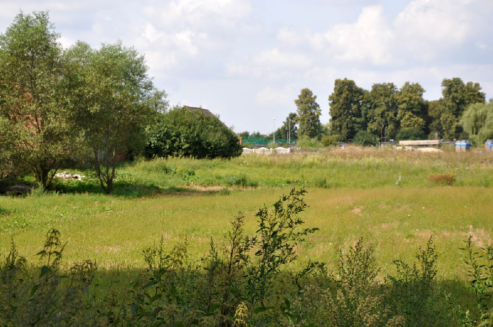 Działka budowlana sprzedaż Bąkowice, gm. Świerczów