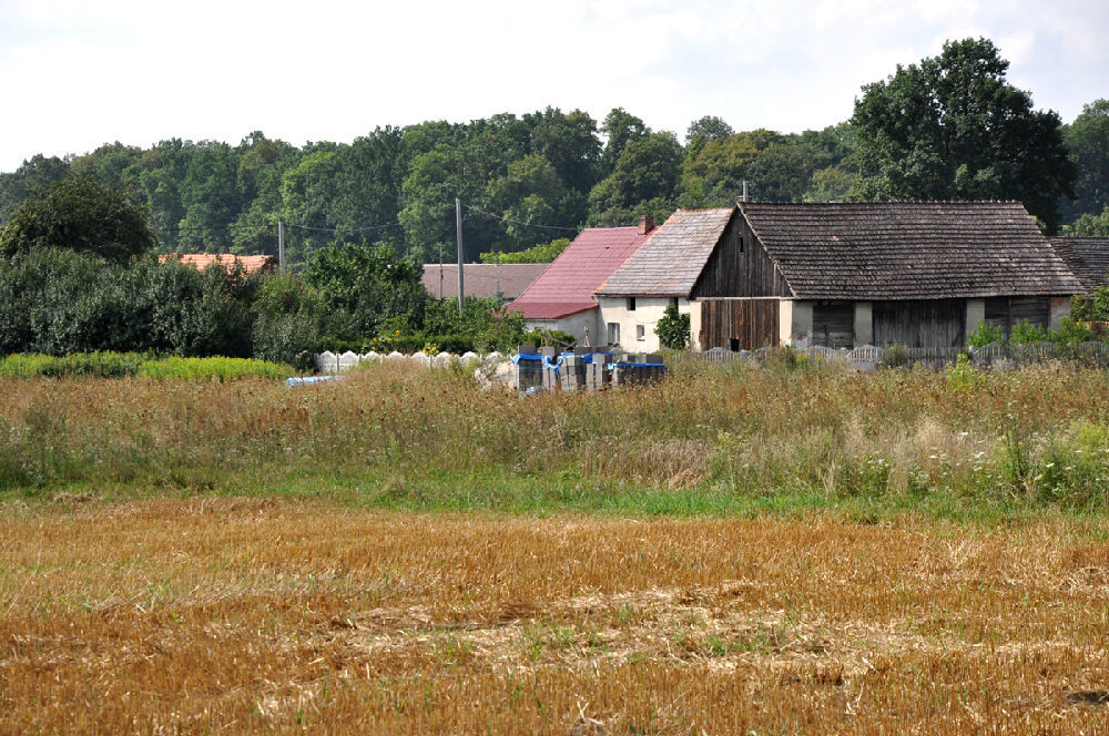 Działka budowlana sprzedaż Bąkowice, gm. Świerczów