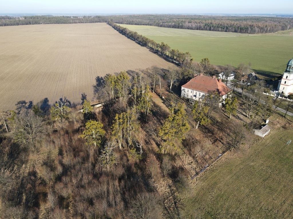 Na wynajem Barokowy Dwór Biskupice, Opolskie.