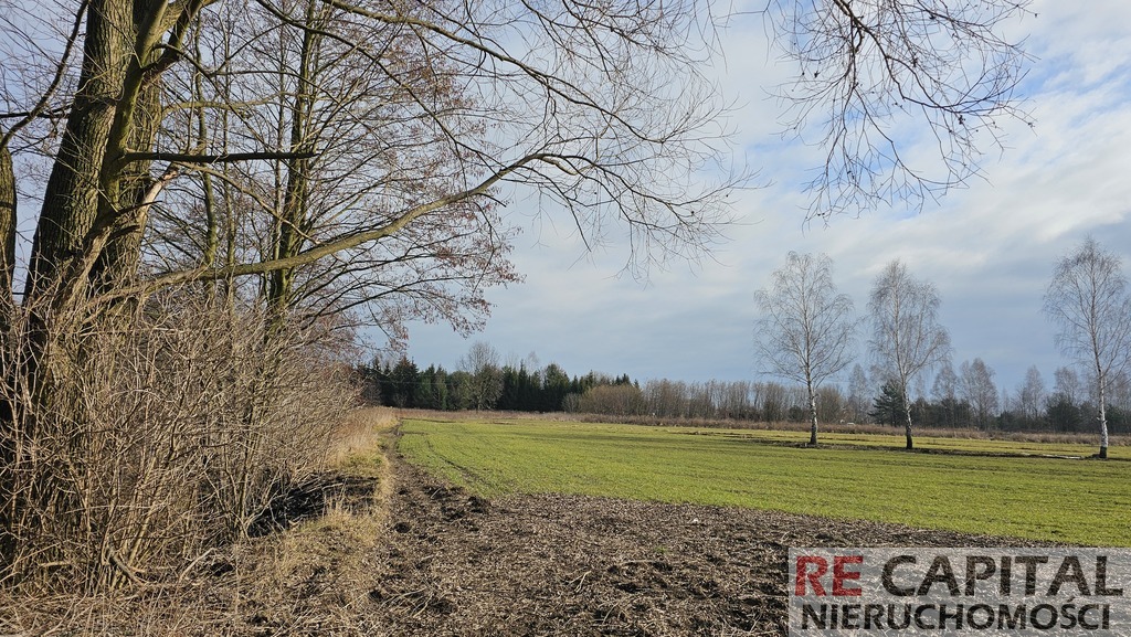 Działka budowlana inwestycja Borzęcin Mały