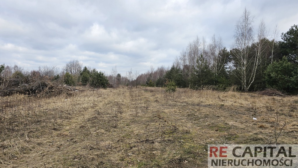 Działka budowlana pod inwestycję - Borzęcin Mały