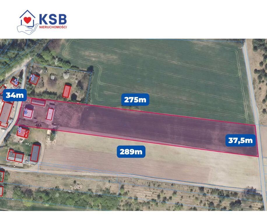 Dom 100,5m2 + działka 0,99ha w Podgórzu