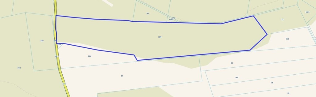 12,3 ha lasu w rozsądnych pieniądzach