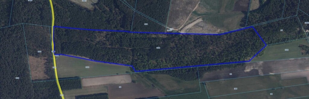 12,3 ha lasu w rozsądnych pieniądzach
