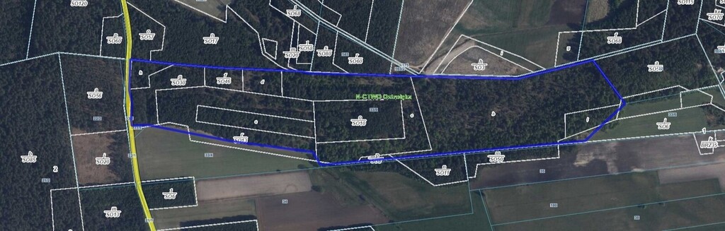 12,3 ha lasu w rozsądnych pieniądzach