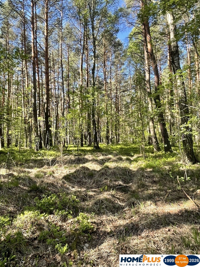 Działki na sprzedaż – Ciemne k. Radzymina