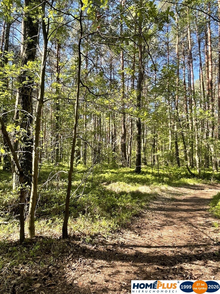 Działki na sprzedaż – Ciemne k. Radzymina