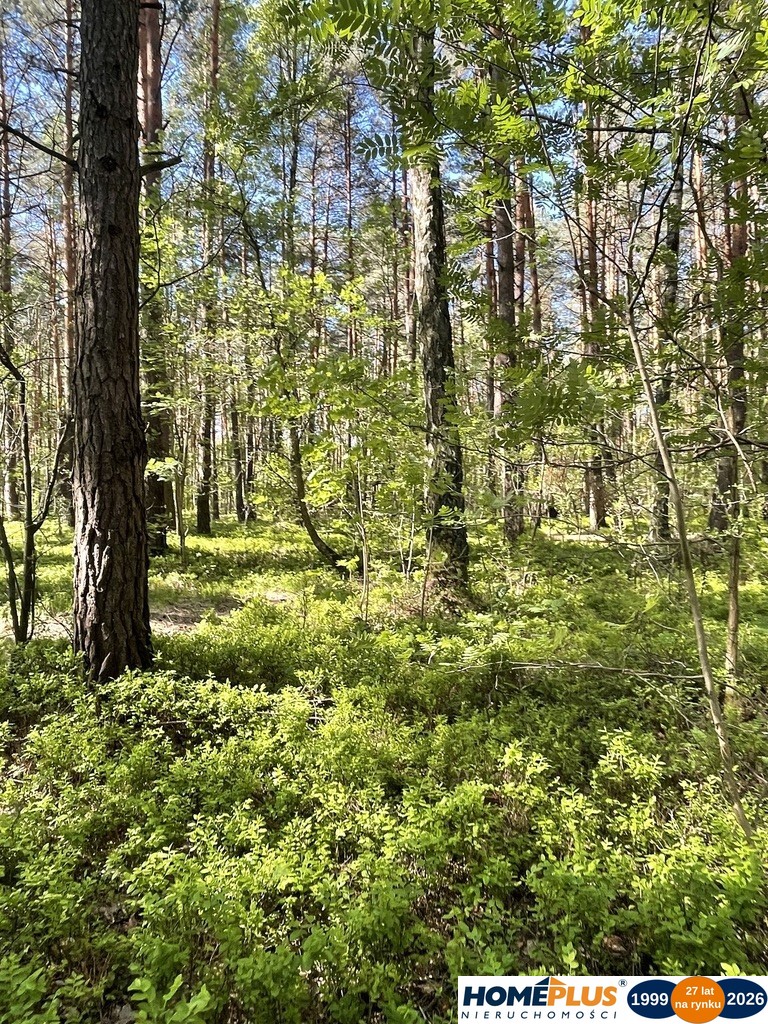 Działki na sprzedaż – Ciemne k. Radzymina