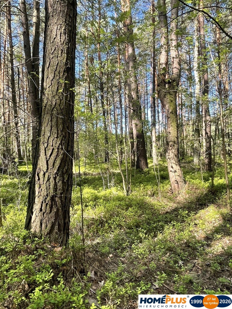 Działki na sprzedaż – Ciemne k. Radzymina