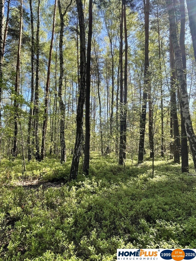 Działki na sprzedaż – Ciemne k. Radzymina