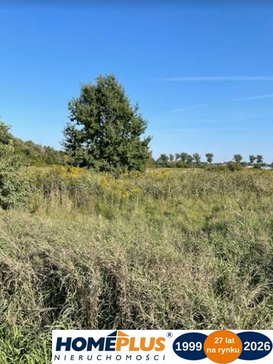 9900 m² – usługi, przemysł, zabudowa mieszkaniowa.