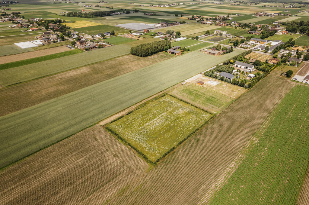 Działka 3000 m² z dala od aglomeracji