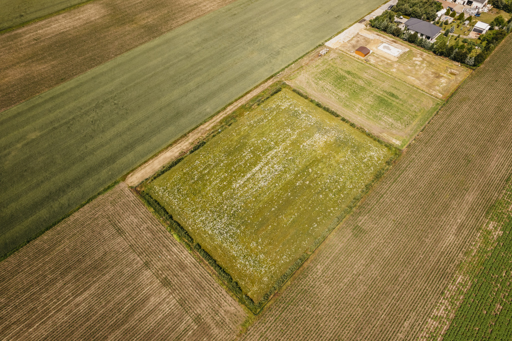 Działka 3000 m² z dala od aglomeracji