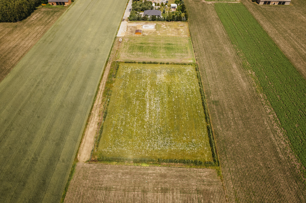 Działka 3000 m² z dala od aglomeracji