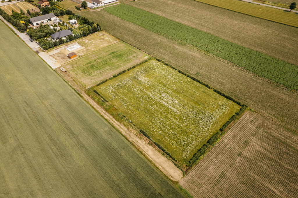 Działka 3000 m² z dala od aglomeracji