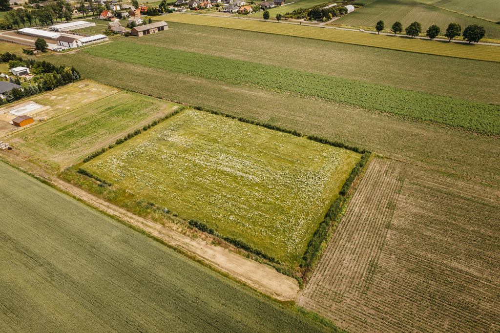 Działka 3000 m² z dala od aglomeracji