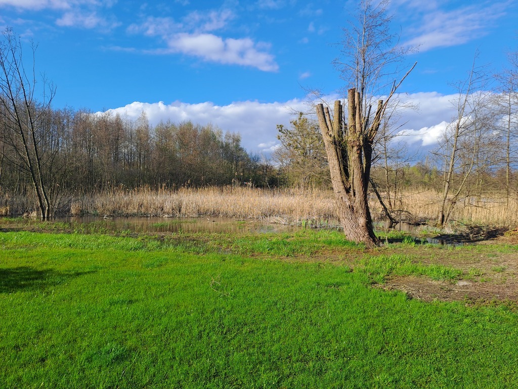 Piękna działka nad jeziorem w Choszcznie
