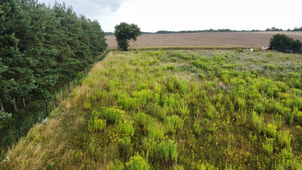 Działka 3000 m2 puszcza zielonka