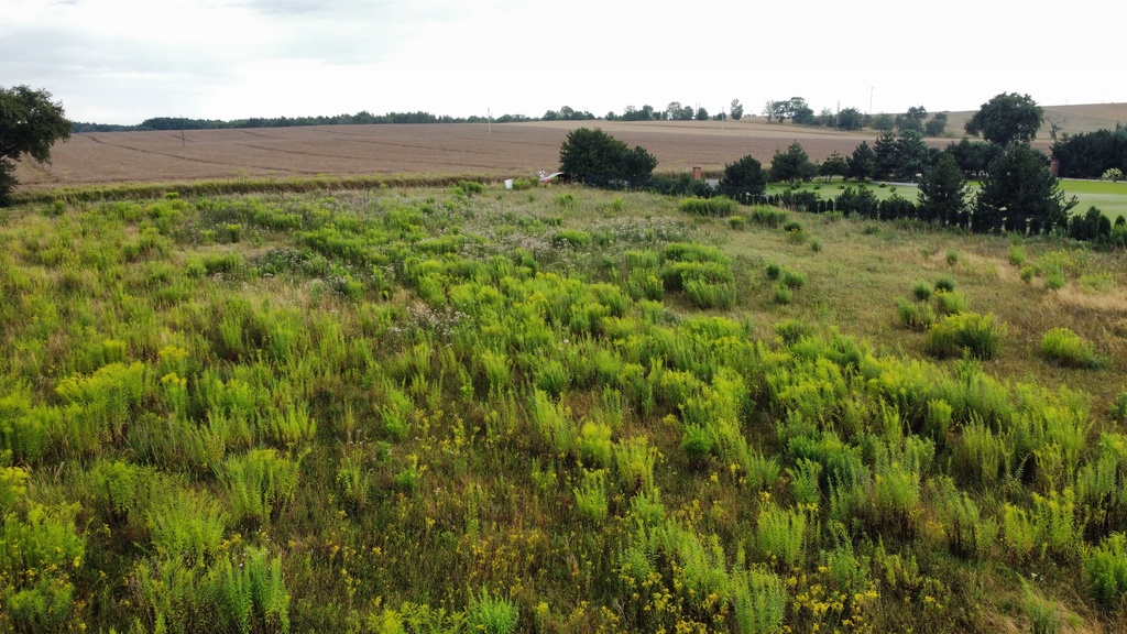 Działka 3000 m2 puszcza zielonka