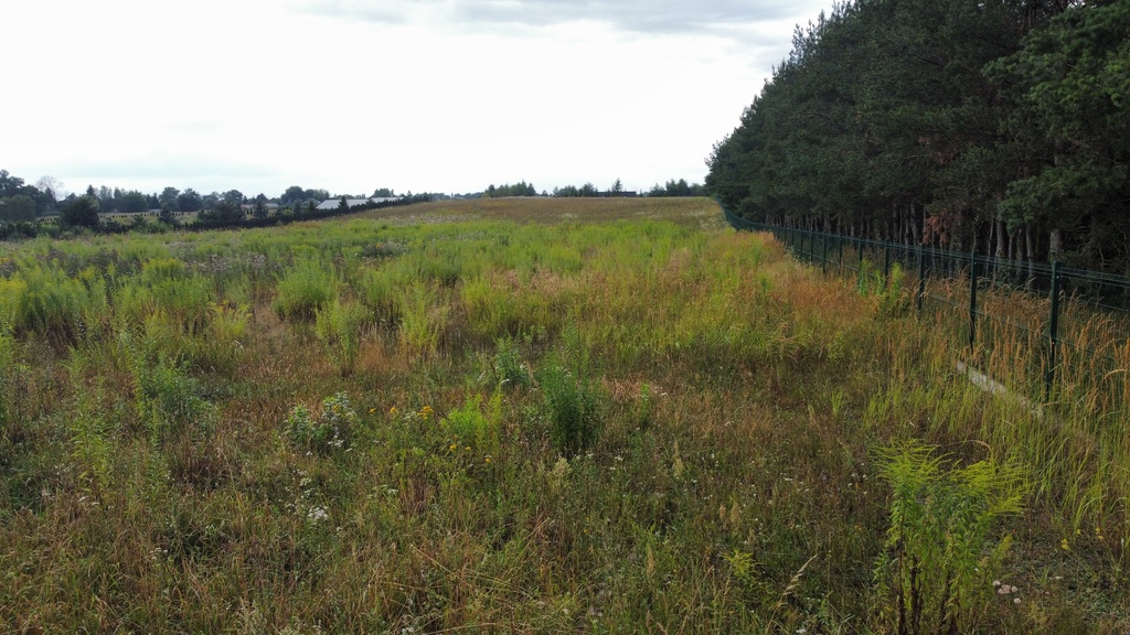 Działka 3000 m2 puszcza zielonka