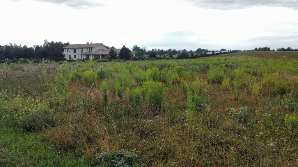 Działka 3000 m2 puszcza zielonka