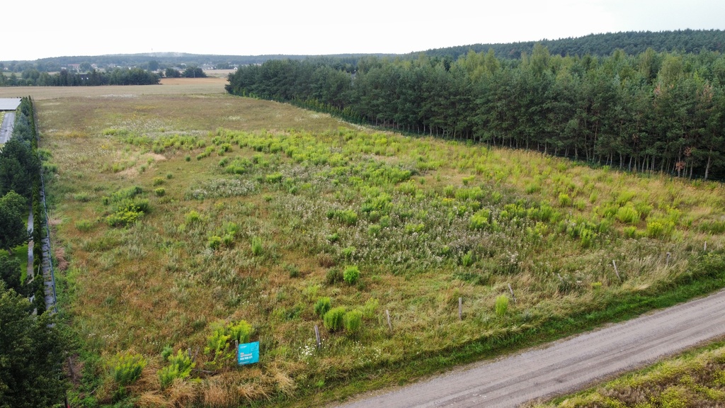 Działka 3000 m2 puszcza zielonka