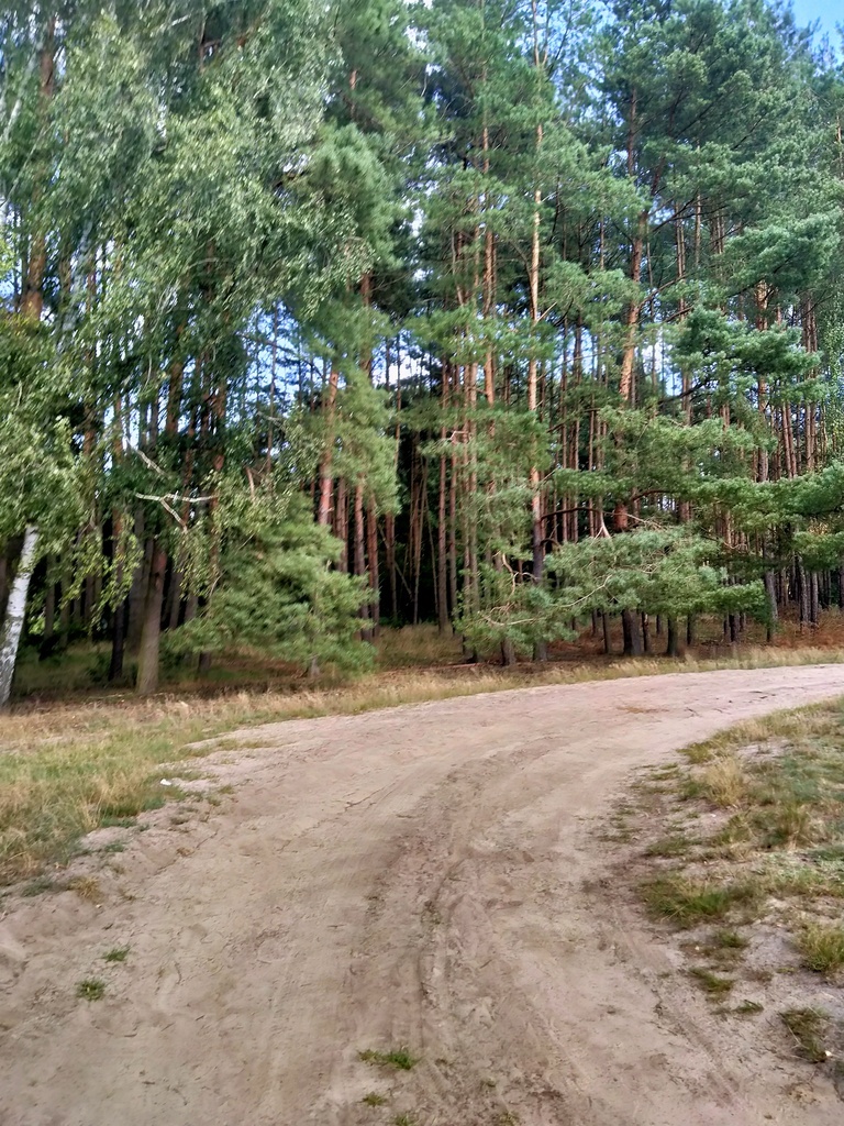 Działka Tanowo,0.3362ha,plan miejsc.-rolna.