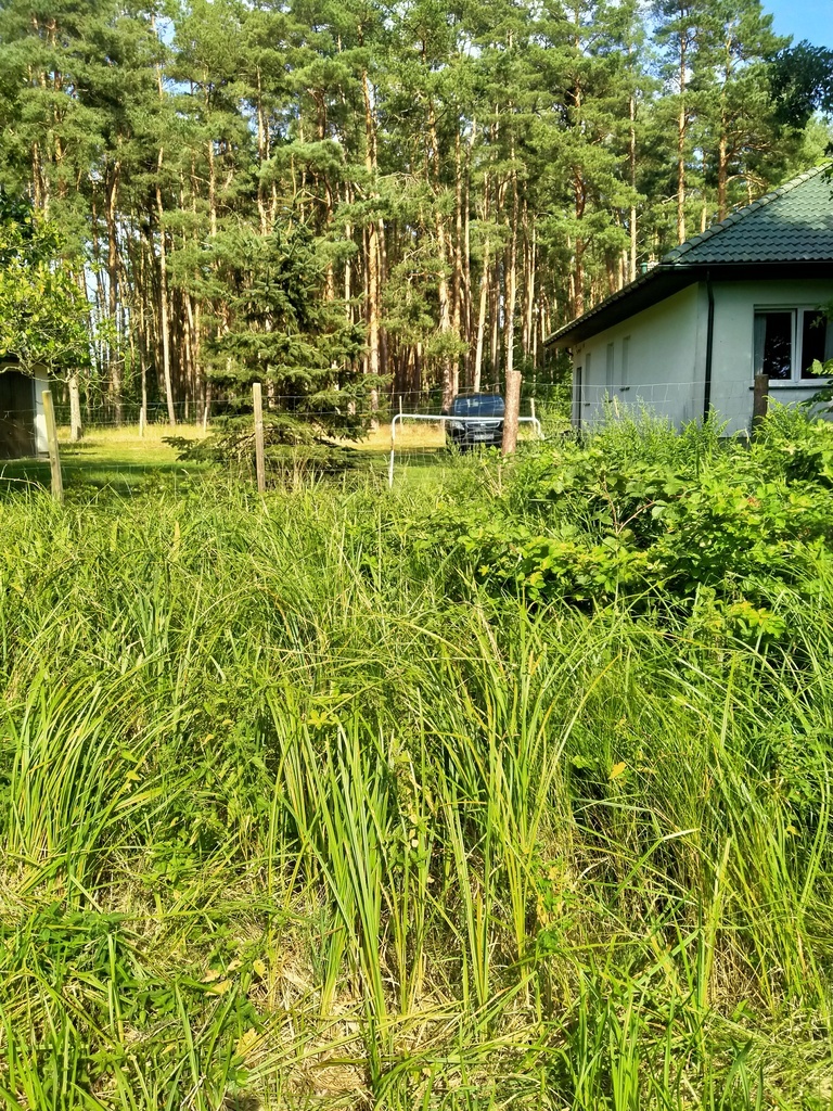 Działka Tanowo,0.3362ha,plan miejsc.-rolna.
