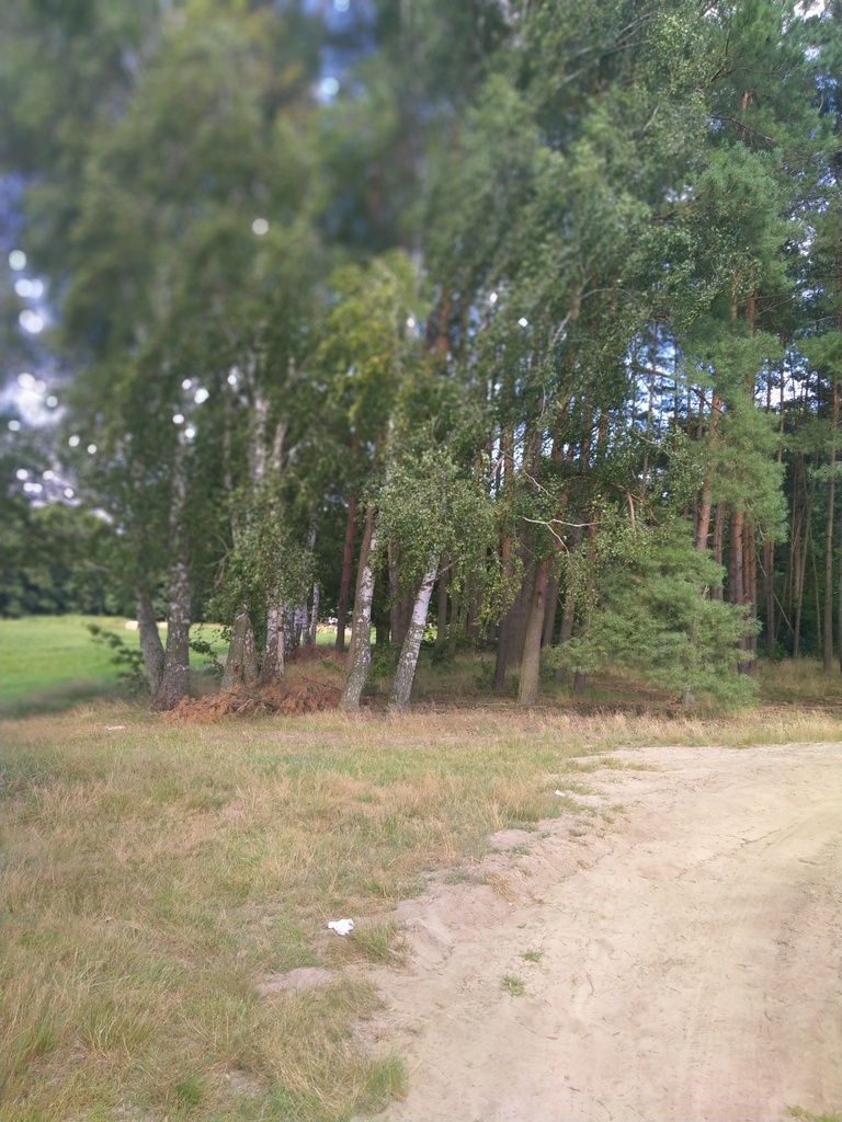 Działka,Tanowo,gm.Police,3166m2,plan-usługi.