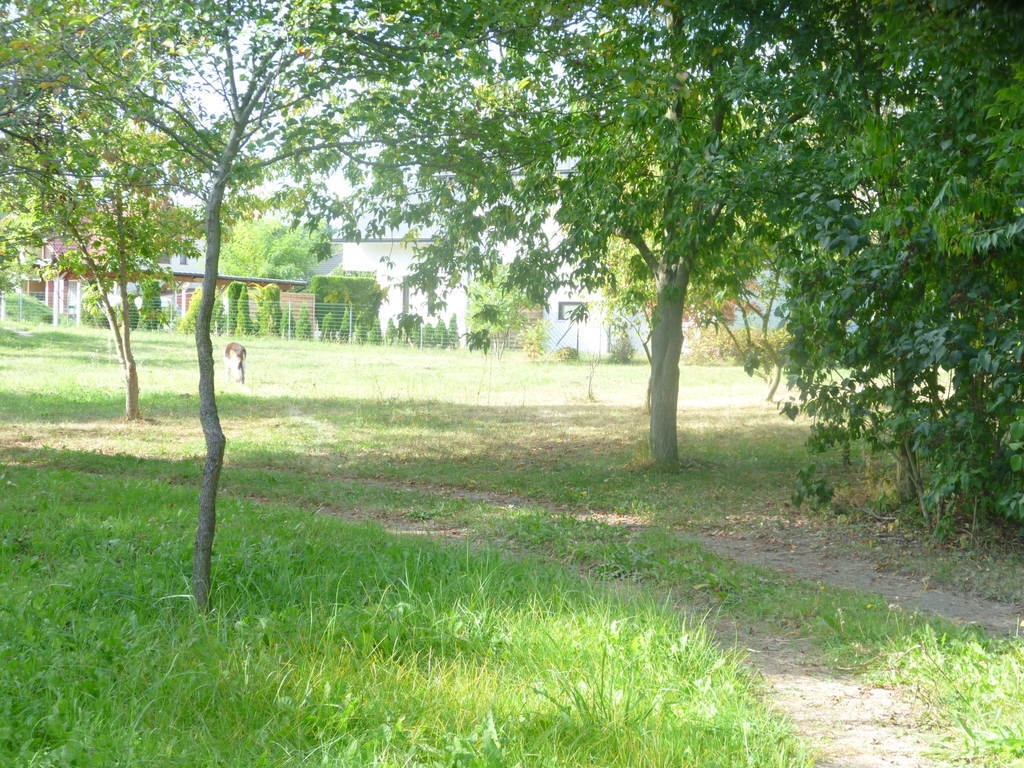 Działka 6700m2,gm.Dobra,dr.asf.las.