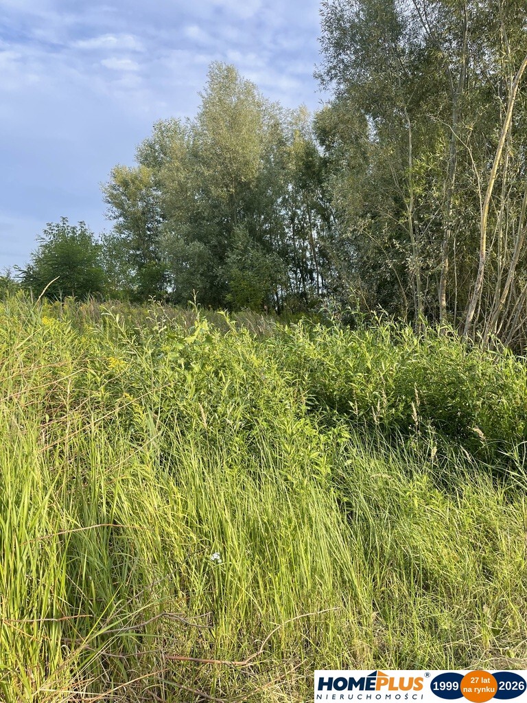 Działka 2,5 ha Dąbrówka, blisko S8, media, MPZP