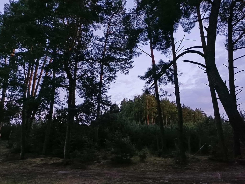 Twój wymarzony kawałek natury w Kłodowie - 1800 m²