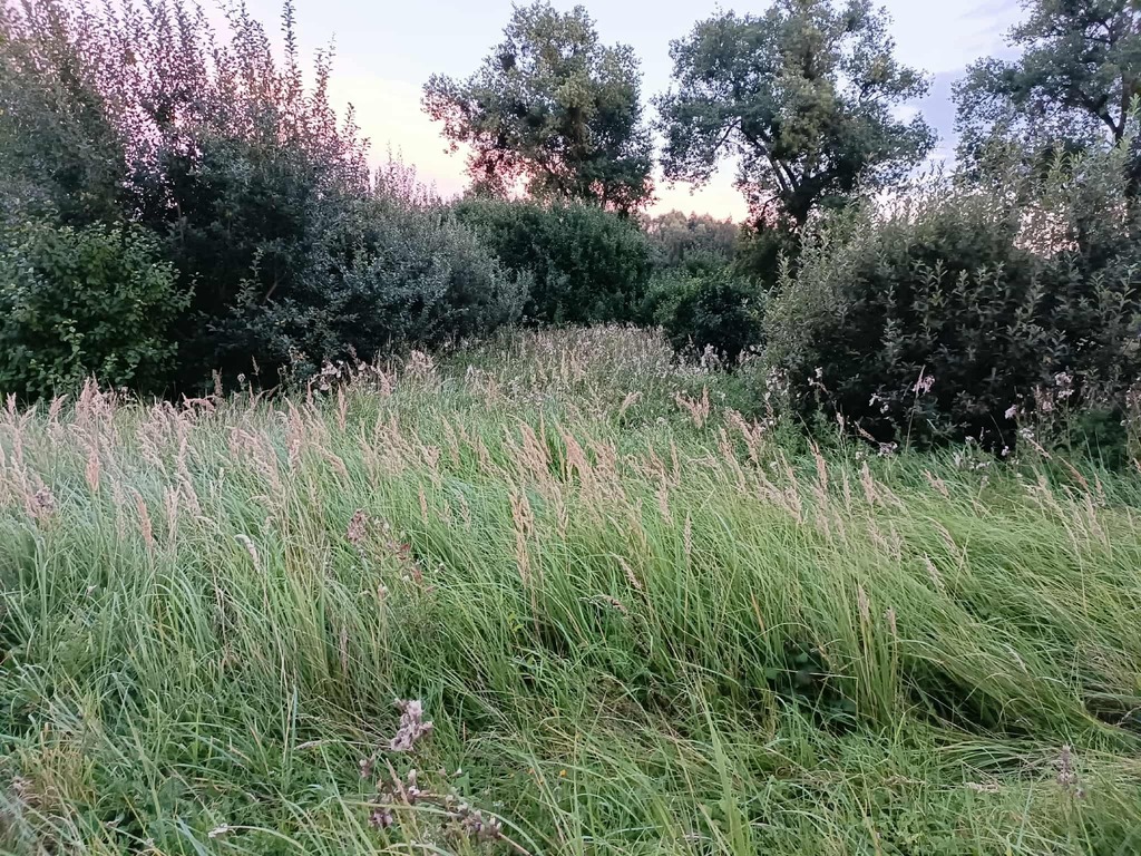 Twój wymarzony kawałek natury w Kłodowie - 1800 m²