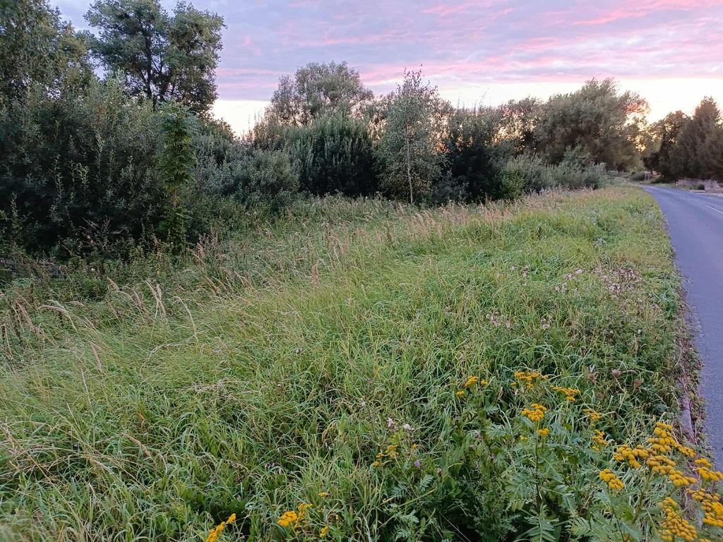 Twój wymarzony kawałek natury w Kłodowie - 1800 m²