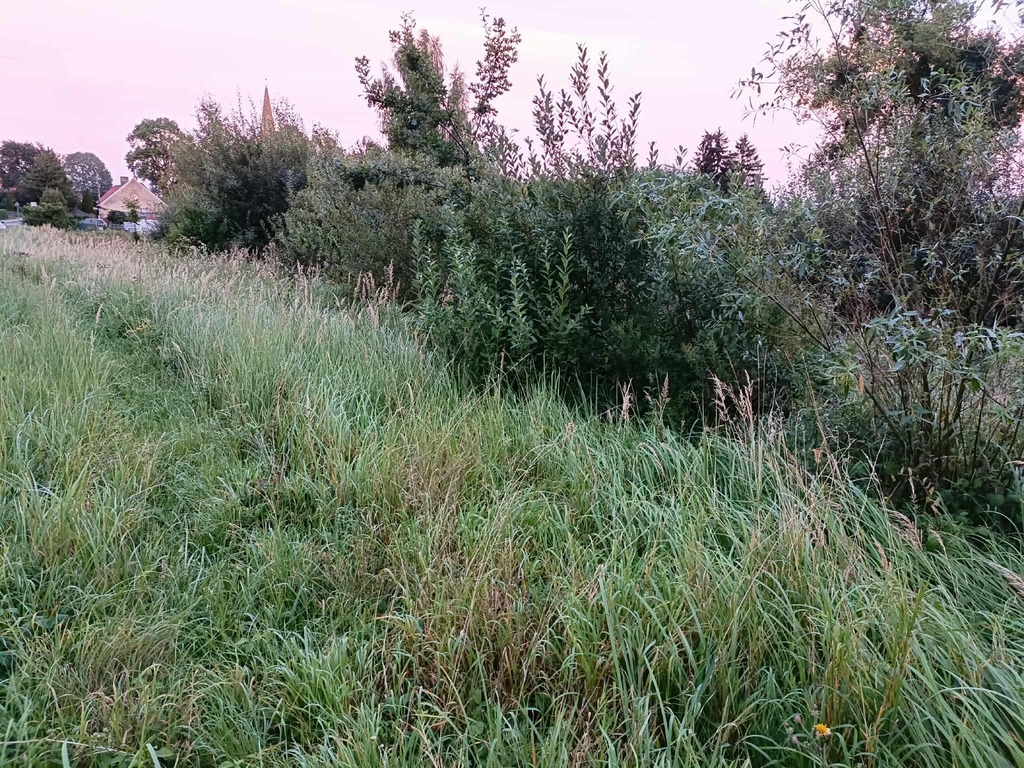 Twój wymarzony kawałek natury w Kłodowie - 1800 m²