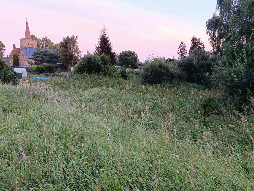 Twój wymarzony kawałek natury w Kłodowie - 1800 m²