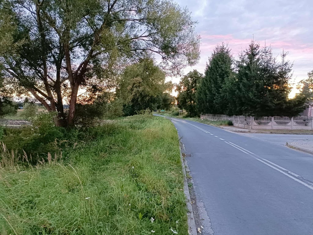 Twój wymarzony kawałek natury w Kłodowie - 1800 m²