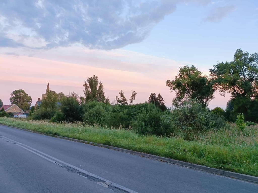 Twój wymarzony kawałek natury w Kłodowie - 1800 m²